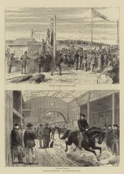 Melbourne illustriert